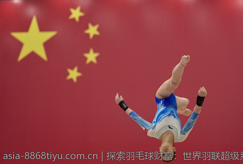 探索羽毛球财富：世界羽联超级系列赛奖励金动态