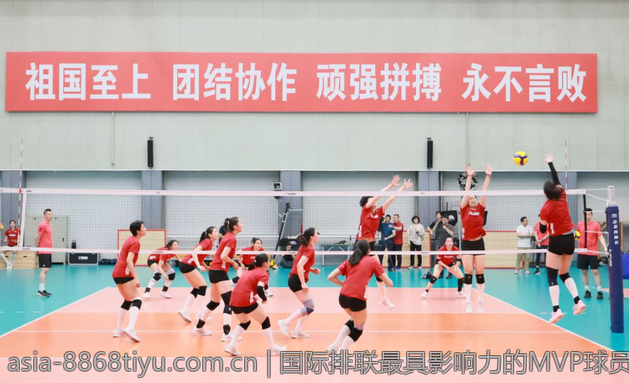 国际排联最具影响力的MVP球员全解析